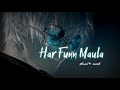 Har Funn Maula  ( Slowed + Reverb )