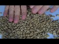 Coffee Beans Sounds | The Most Satisfying ASMR with Green Beans Coffee