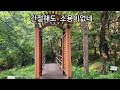 신정수ㅣ타인ㅣ신곡ㅣ힘들고 지칠때ㅣ운전중 기분전환ㅣ스트레스 해소ㅣ큰글씨 가사 첨부 ㅣ 따라부르기ㅣ속리산 화양동계곡