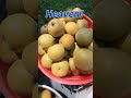 Asian Pears (Summer 2023)