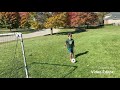 Soccer trick shots 3