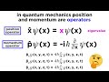Position and Momentum Operators in Quantum Mechanics