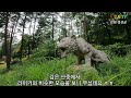 지도에도 나오지 않는 속세와 완전 단절된 1332m 오지산골 중턱에서 발견한 요상한 너와집의 정체는? #오지산골빈집 #자동차여행