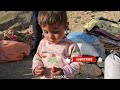 Nomadic life in the mountains | daily routine village life of Iran | Nomadic lifestyle of Iran
