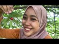 BUAH LIAR YANG ENAK SERING AKU MAKAN PAS SD | Yessi Official