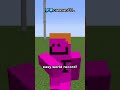 my favorite minecraft video