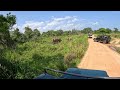 Sri Lankan Elephants - Minneriya Safari - Part 3