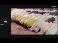 عاجل : الملك محمد السادس يقوم باحياء ليلة القدر المباركة في مسجد الحسن الثاني