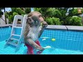 YiYi takes YinYin swimming in the pool full of fruit makes him very happy