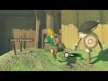 Link has more animations than you think
