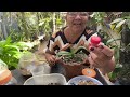 🔵COMO PLANTAR ORQUÍDEA NO VASO DE BARRO SEM PERDER A UMIDADE QUE ELA PRECISA‼️