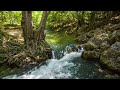 All your worries will disappear if you listen to this music🌿 Relaxing music calms your nerves #3