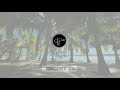 🌴  Tropical Beach Waves -10 Hours - Ocean Waves Nature Sounds Relaxation Meditation Sleep