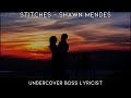 [Lyrics Video] // Stitches - Shawn Mendes