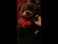 Musical Valentine Pal Teddy Bear review