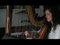 A Day Without Rain - Enya (Harp Cover)