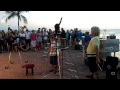 Crazy Cat Man - Key West l 1080p