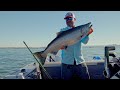 Chasing Buoy 10 Chinook with Austin Moser! // Fish Fighter®