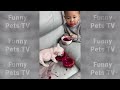 🤣🤣New Funny And Cute Animal 2024 🤣Funniest Dogs And Cats Videos 🐱🐶- Part 1