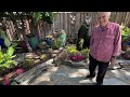 Shade Garden Tour with LOTS of COLOR! 🌸🪻🌼 :: Shade Garden Inspiration :: Dig, Plant, Water, Repeat