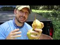 How To Harvest And Ripen Pears | 4 Signs Your Fruit Is Ready! DON'T Pick Early!