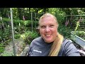 Beyond Tomatoes: Tour of our Raised Bed Veggie Garden!