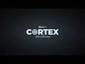 I Don't Really Like Work (Cortex #1)