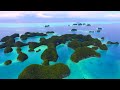 Palau - Above and Below the Ocean