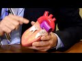 Watchman Device, preventing strokes in patients with Atrial Fibrillation, Lee MacDonald, MD.