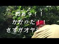 週末農業生活　＃5