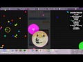 agar.io ignition