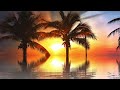 Calm Piano Music to Relax and Sleep - Sunset over Palm Trees