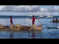 MADAGASCAR. Mes 3 premiers jours à NOSY BE, entre découverte de l'île et snorkeling avec les tortues