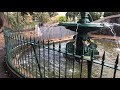 rosalind park fountain