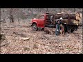 Mule Logging in Arkansas