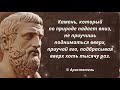 Золотые слова Аристотеля  Цитаты и афоризмы.