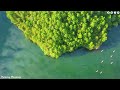 Soothing Relaxing Music for Mental Peace 🌼 Heals the Heart and Mind, Calms the Nervous System