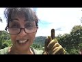 David Homestead Puerto Rico Week 1 (Vlog)