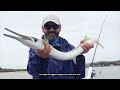 Catching A Feed fishing in Swansea channel.