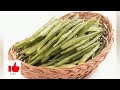 கொத்தவரங்காய் சாப்பிடக்கூடாதா ? Cluster beans who should and should not eat |Snegithi health benefit