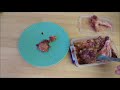 Raw Cat Food DIY