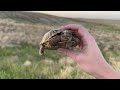 2024 STORM CHASING - Tornado, Lightning, Hail and Flood