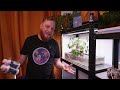 Water's edge aquarium, for colourful shrimps and snails! (Low tech, super shallow aquascape)