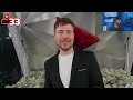 J’essaye de gagner 1 Million de dollars dans une vidéo de MrBeast ! (Ft. Speed, Logan Paul, KSI, …)