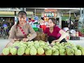 Harvesting Many Custard Apple Goes To Market Sell - Take Care Livestock | Free Bushcraft