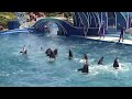 Dolphin Days at SeaWorld San Diego 4-7-15