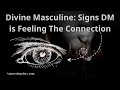 Twin Flame | Divine Masculine Signs TWIN FLAME SIGNS