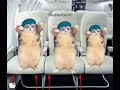 Family trip ✈️ #funny #trending #viral