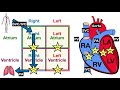 Blood Flow Through the Heart [Made Easy] - Cardiac Circulation Animation