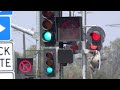 Yellow Flasher Advance Warning Signals At Railroad Crossings